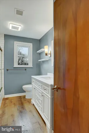 a bathroom with a sink a toilet and a shower