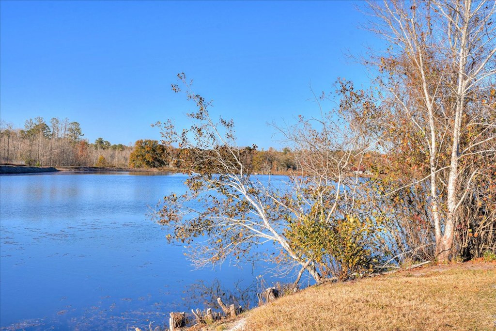 4117 Lakeside Loop Hephzibah, GA 30815 - Photo 47 of 48 Gallery Image 47