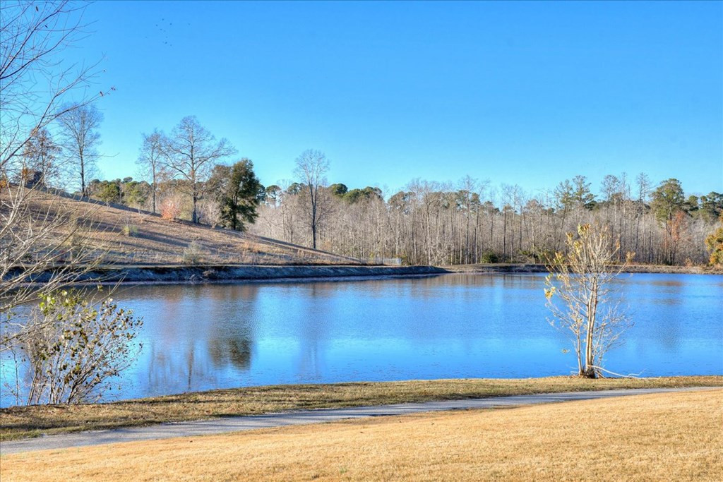 4117 Lakeside Loop Hephzibah, GA 30815 - Photo 48 of 48 Gallery Image 48