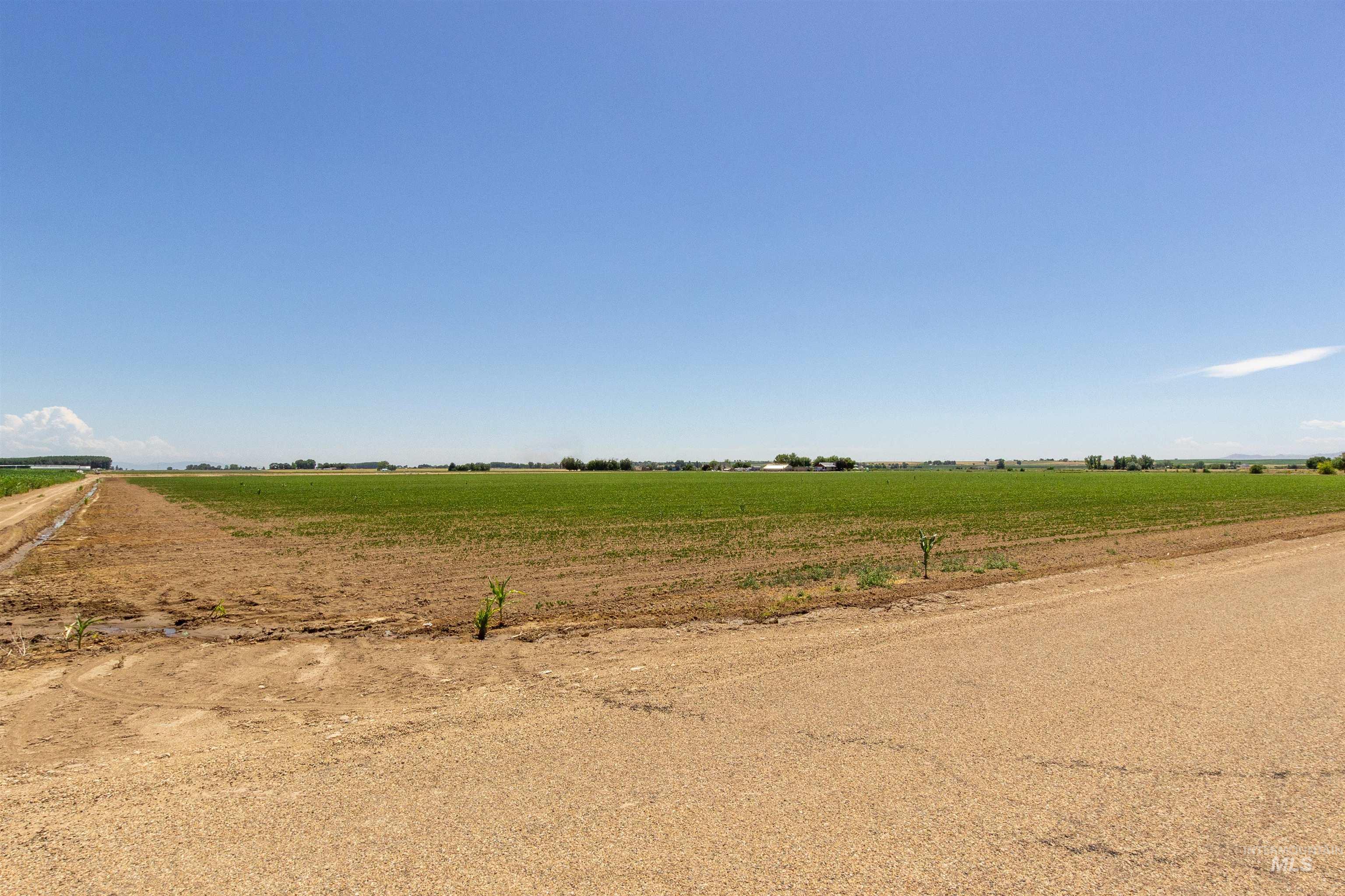 Tbd Tbd Middle Wilder, ID 83676 - Photo 3 of 9 View of local wilderness with rural landscape