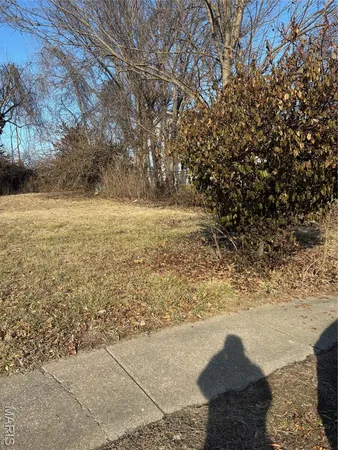 $20,000 | 335 Electric Street, Kirkwood, MO 63122