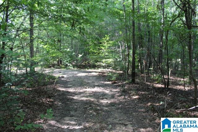 1 Benefield Gap Road Attalla, AL 35954 - Photo 32 of 50