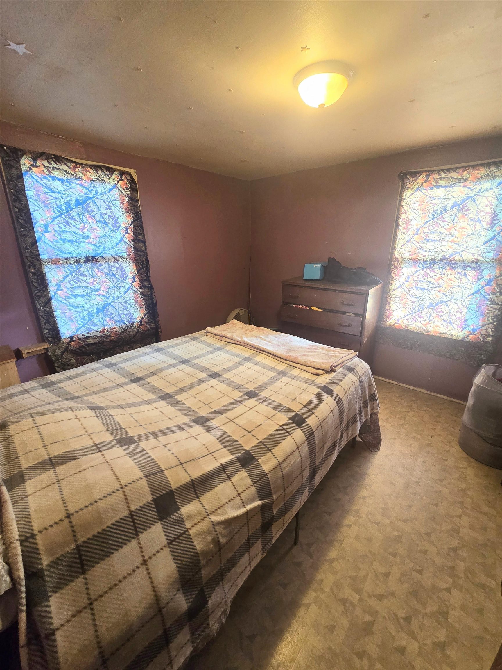 716 East Newark Street Ithaca, MI 48847 - Photo 6 of 10
