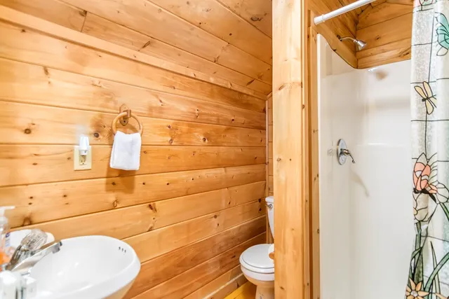 a bathroom with a toilet and a shower