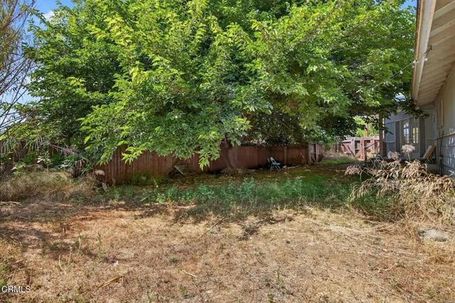 a house that has a tree in front of it