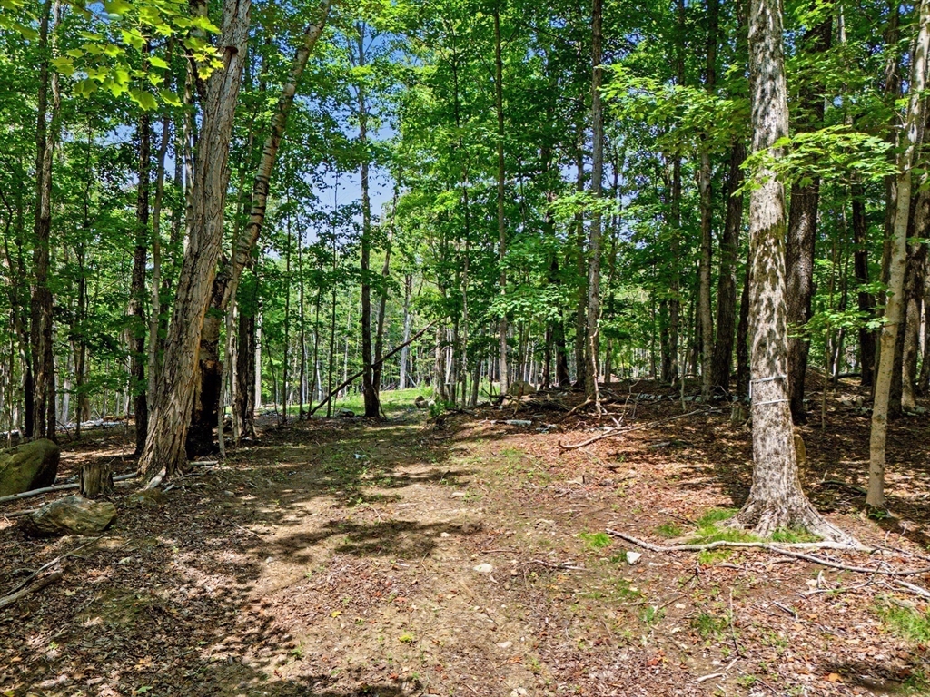 951 West Road Ashfield, MA 01330 - Photo 6 of 30 Gallery Image 6