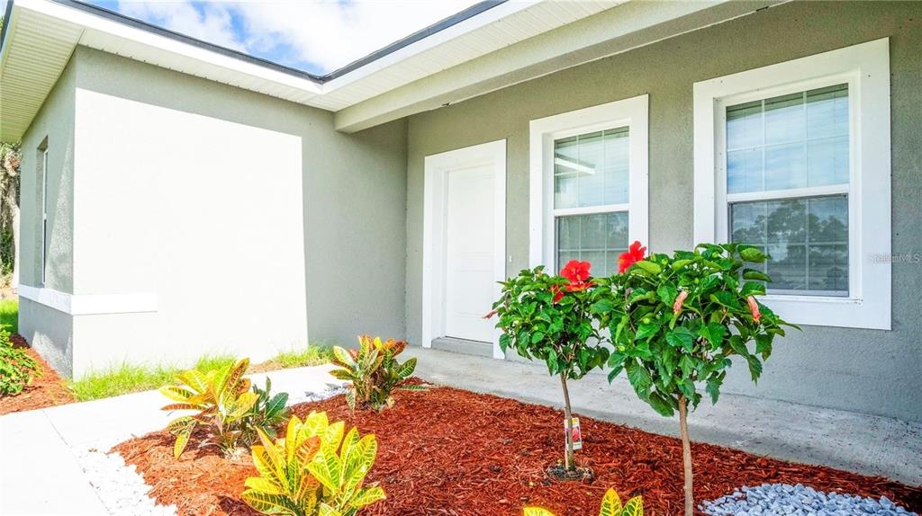 4147 Southwest 167th Street Ocala, FL 34473 - Photo 5 of 45 a flower plants in front of a glass door