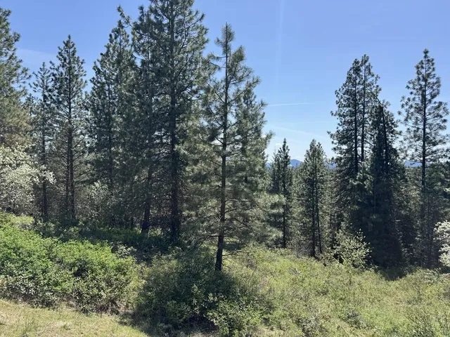 $60,000 | 1372 Valley View Drive, Newport, WA 99156