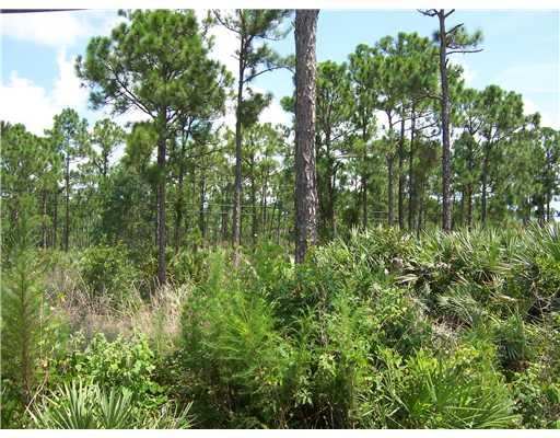 10921 Southwest Hawk View Circle Stuart, FL 34997 - Photo 22 of 25 Gallery Image 22