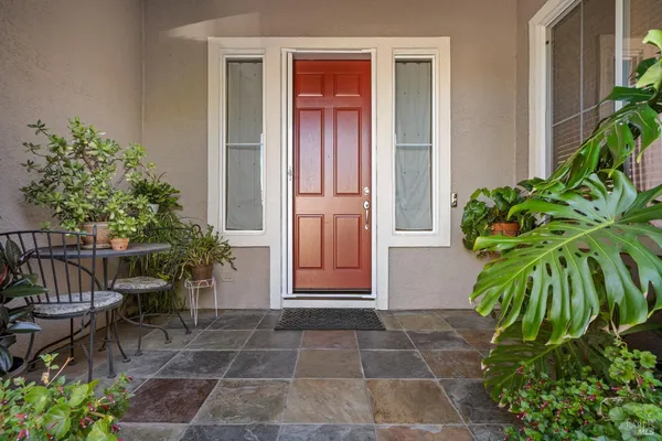 a couple of potted plants in front of door