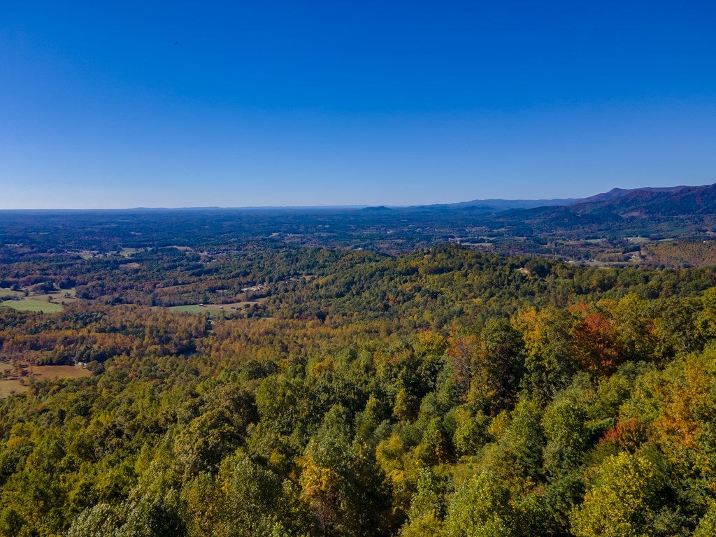 Lot 93 Reflections Point Trail, Unit 93 Fancy Gap, VA 24328 - Photo 78 of 92 Gallery Image 78