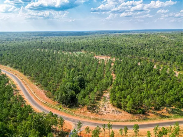 a view of a garden with an outdoor space