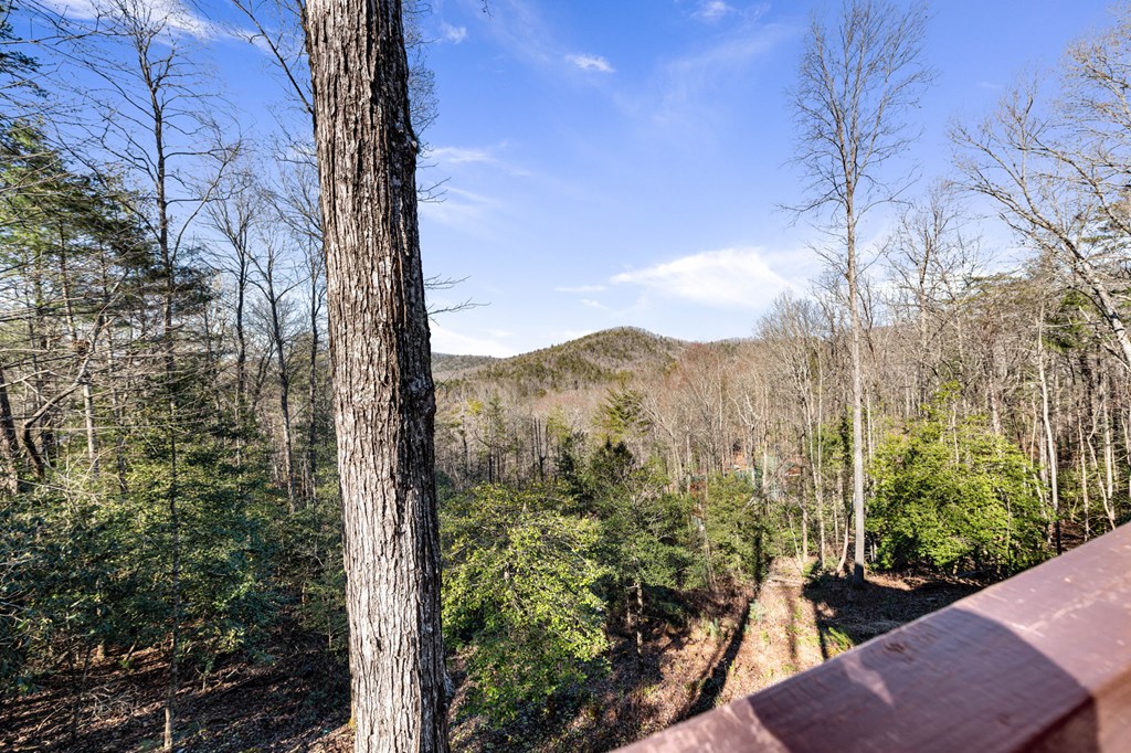 98 Aries Lane Blue Ridge, GA 30513 - Photo 40 of 70