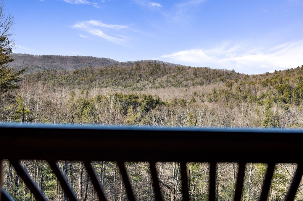 98 Aries Lane Blue Ridge, GA 30513 - Photo 61 of 70