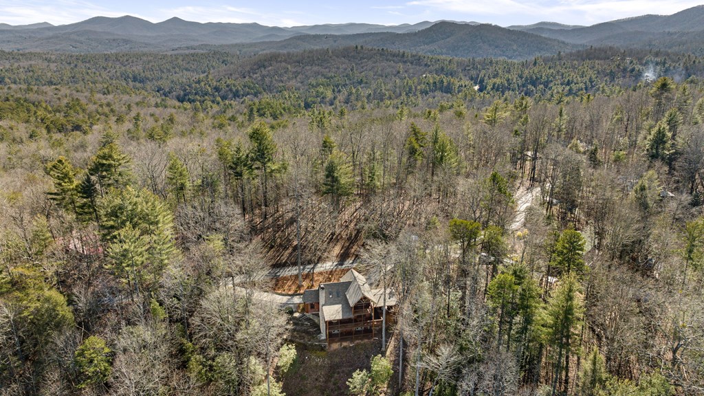 98 Aries Lane Blue Ridge, GA 30513 - Photo 66 of 70