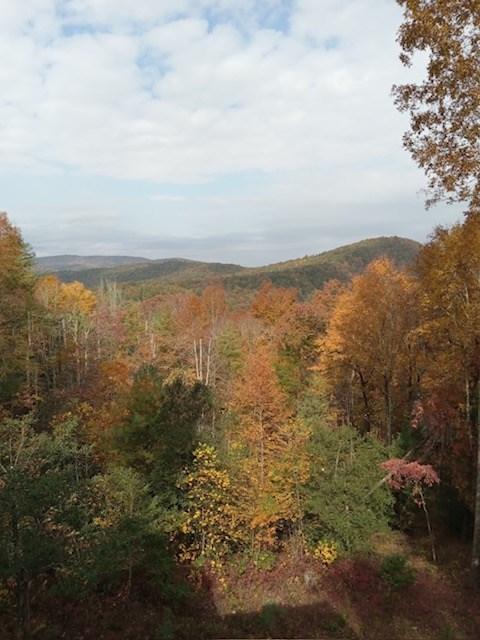 98 Aries Lane Blue Ridge, GA 30513 - Photo 69 of 70