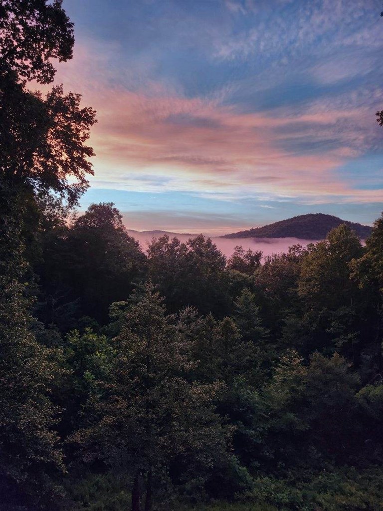 98 Aries Lane Blue Ridge, GA 30513 - Photo 70 of 70