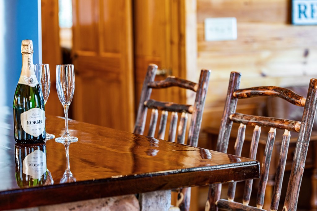 98 Aries Lane Blue Ridge, GA 30513 - Photo 10 of 70