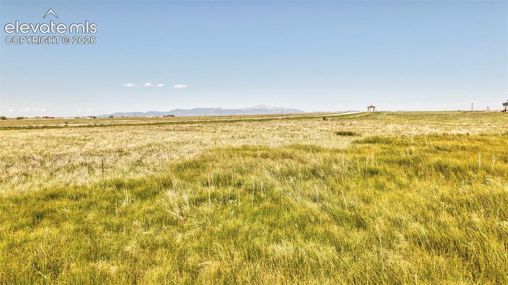 8007 Wrangler Ranch View Peyton, CO 80831 - Photo 4 of 9