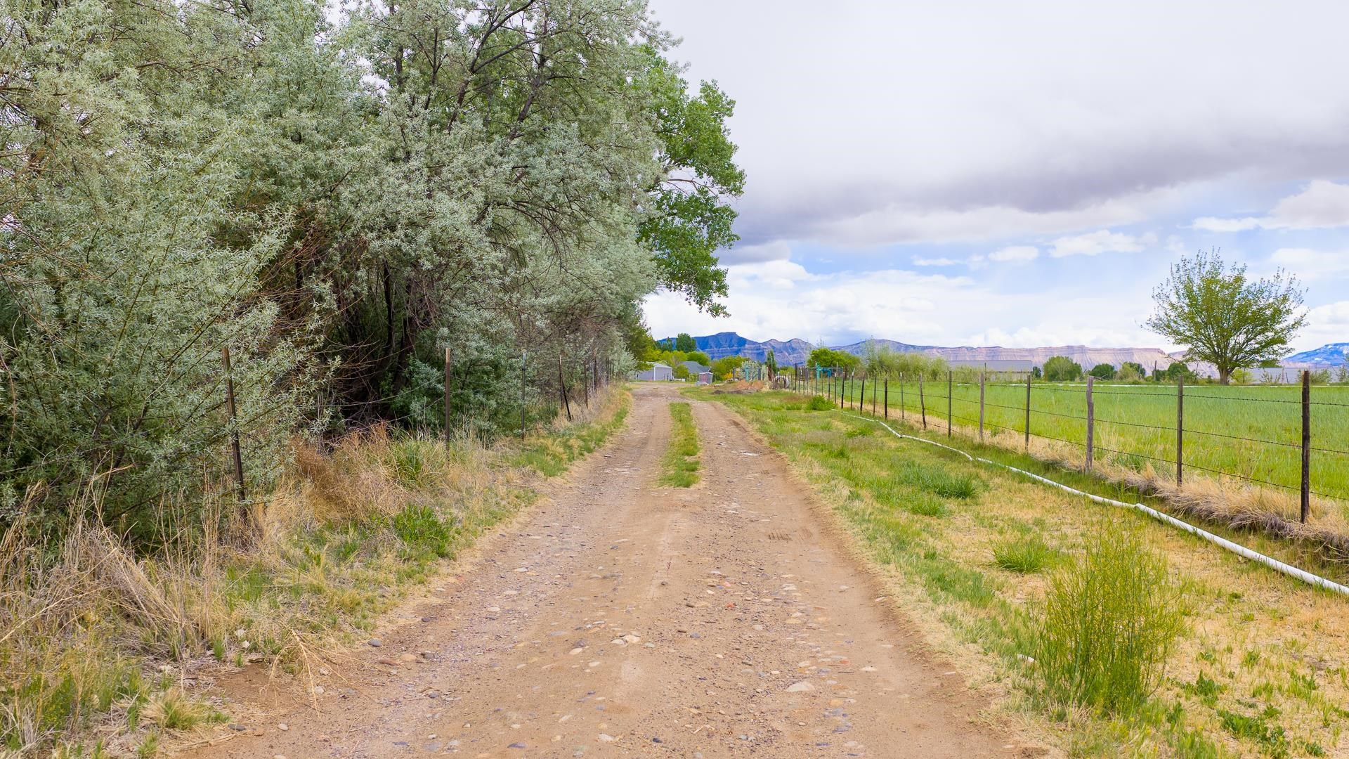 1212 22 Road Grand Junction, CO 81505 - Photo 33 of 34