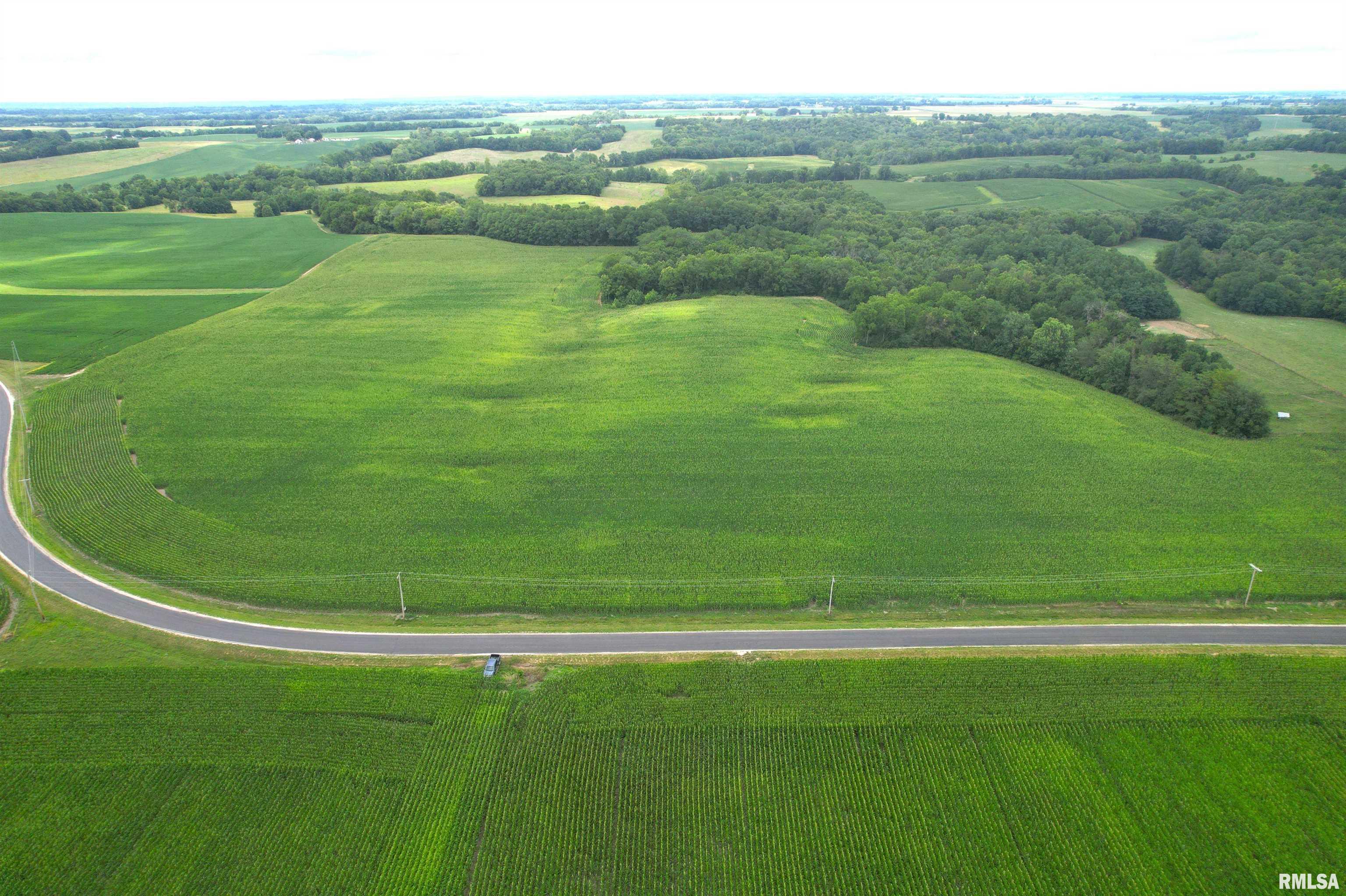Exeter Blacktop Road Bluffs, IL 62621 - Photo 5 of 15
