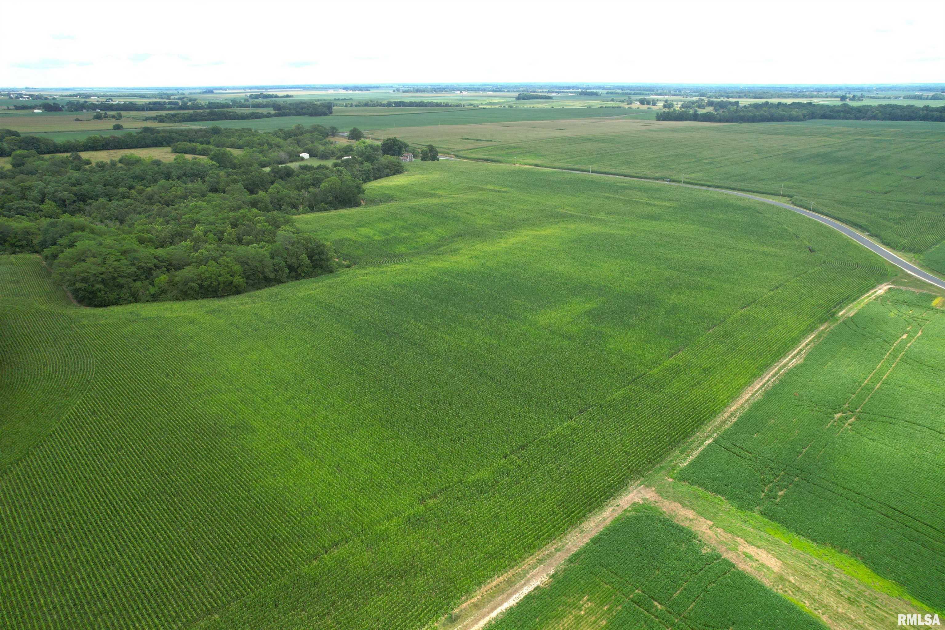 Exeter Blacktop Road Bluffs, IL 62621 - Photo 6 of 15