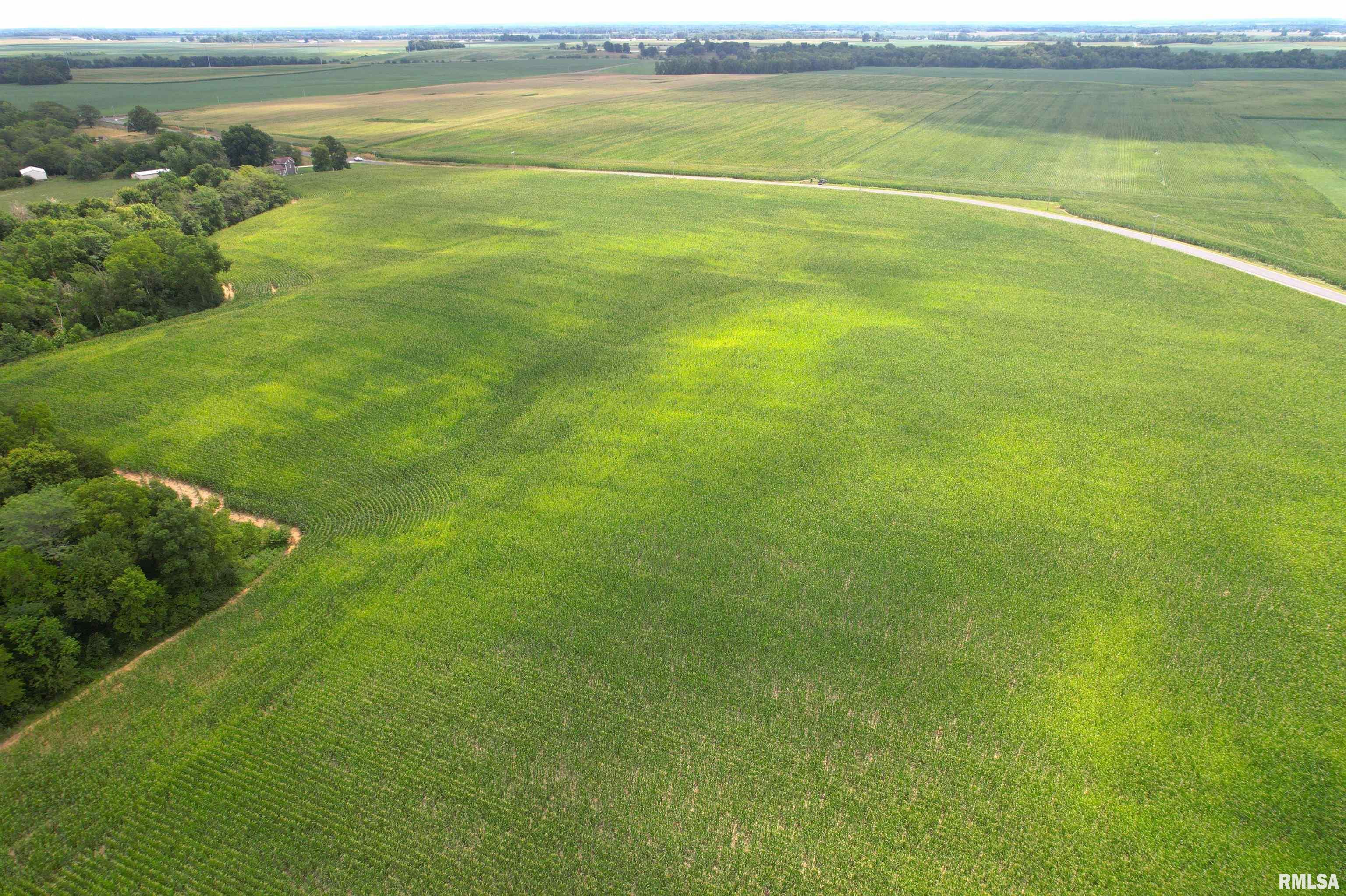 Exeter Blacktop Road Bluffs, IL 62621 - Photo 7 of 15