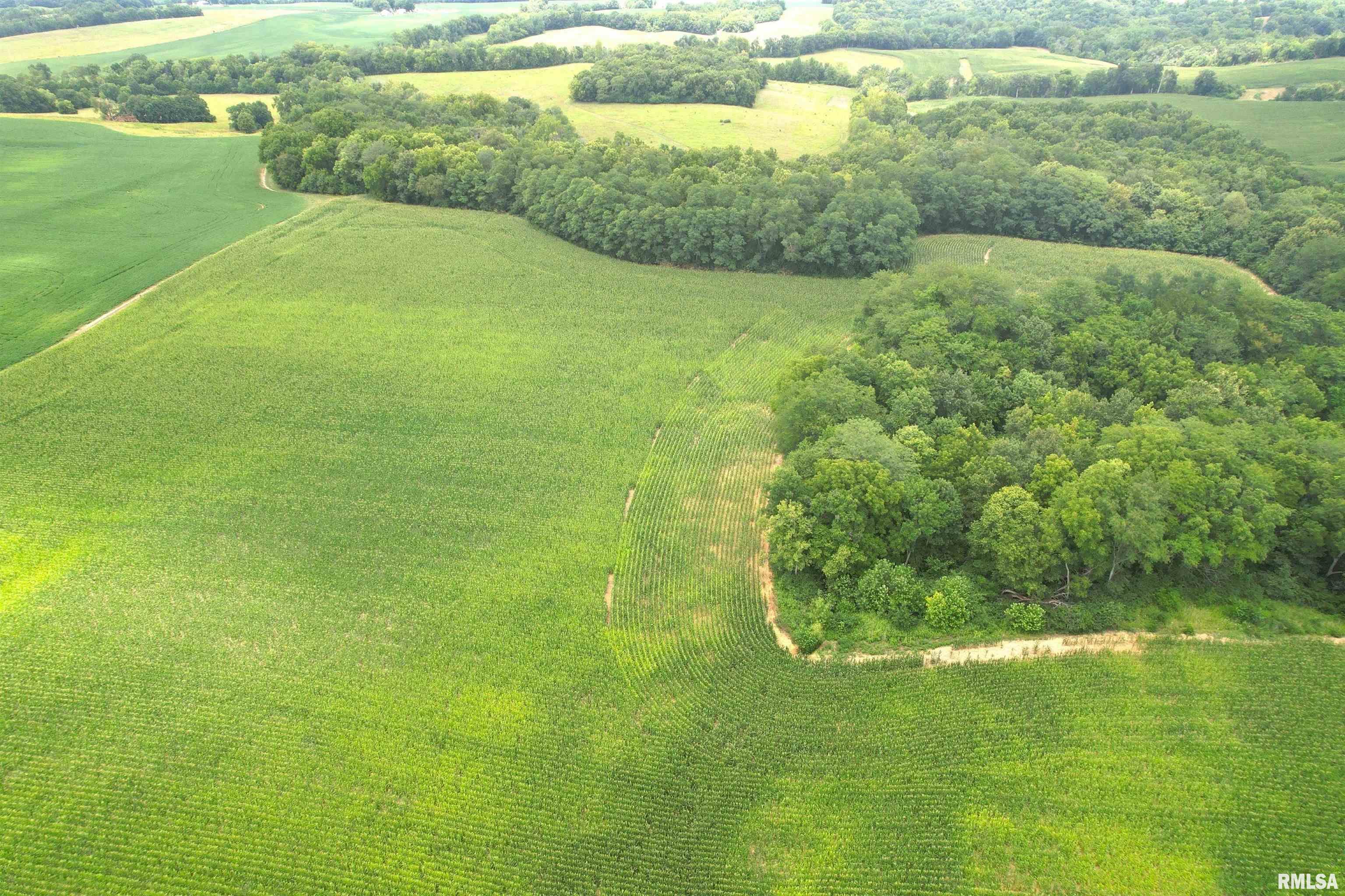 Exeter Blacktop Road Bluffs, IL 62621 - Photo 9 of 15