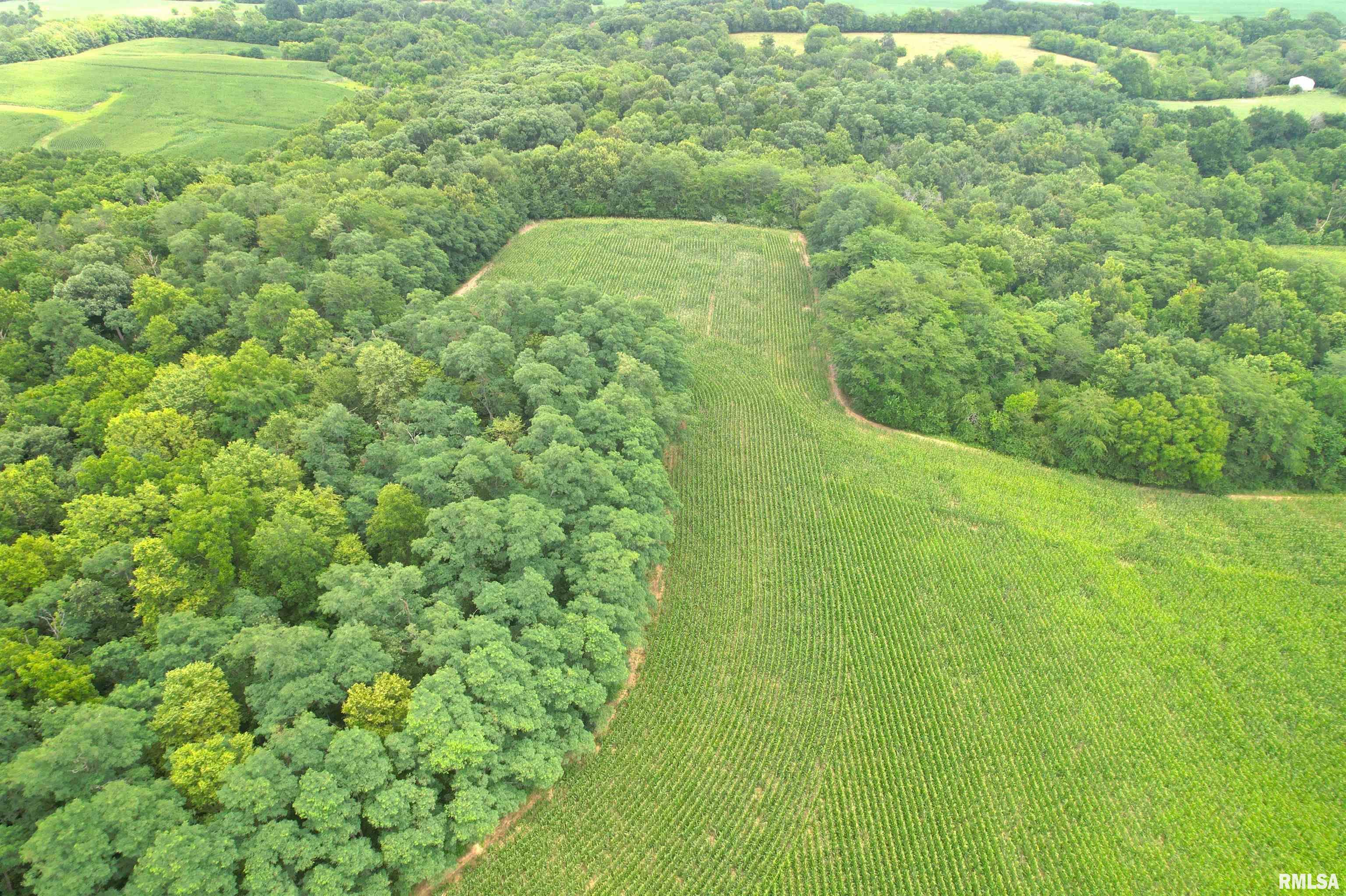 Exeter Blacktop Road Bluffs, IL 62621 - Photo 10 of 15