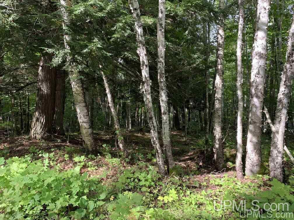 Lot 1 Bayview Road Lanse, MI 49946 - Photo 4 of 27