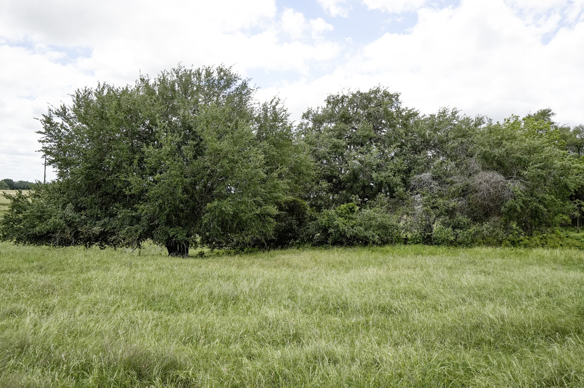 1432 South Knezek Road Flatonia, TX 78941 - Photo 7 of 16