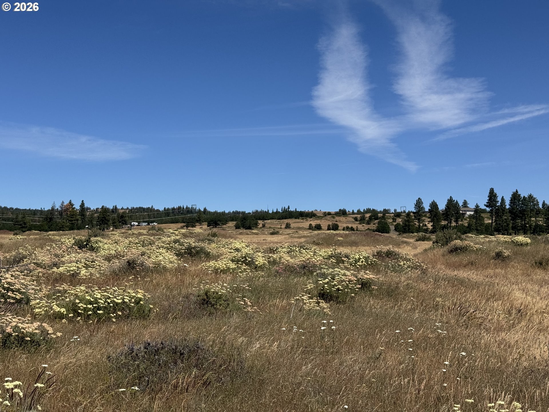 0 Bickleton Highway Bickleton, WA 99322 - Photo 5 of 15