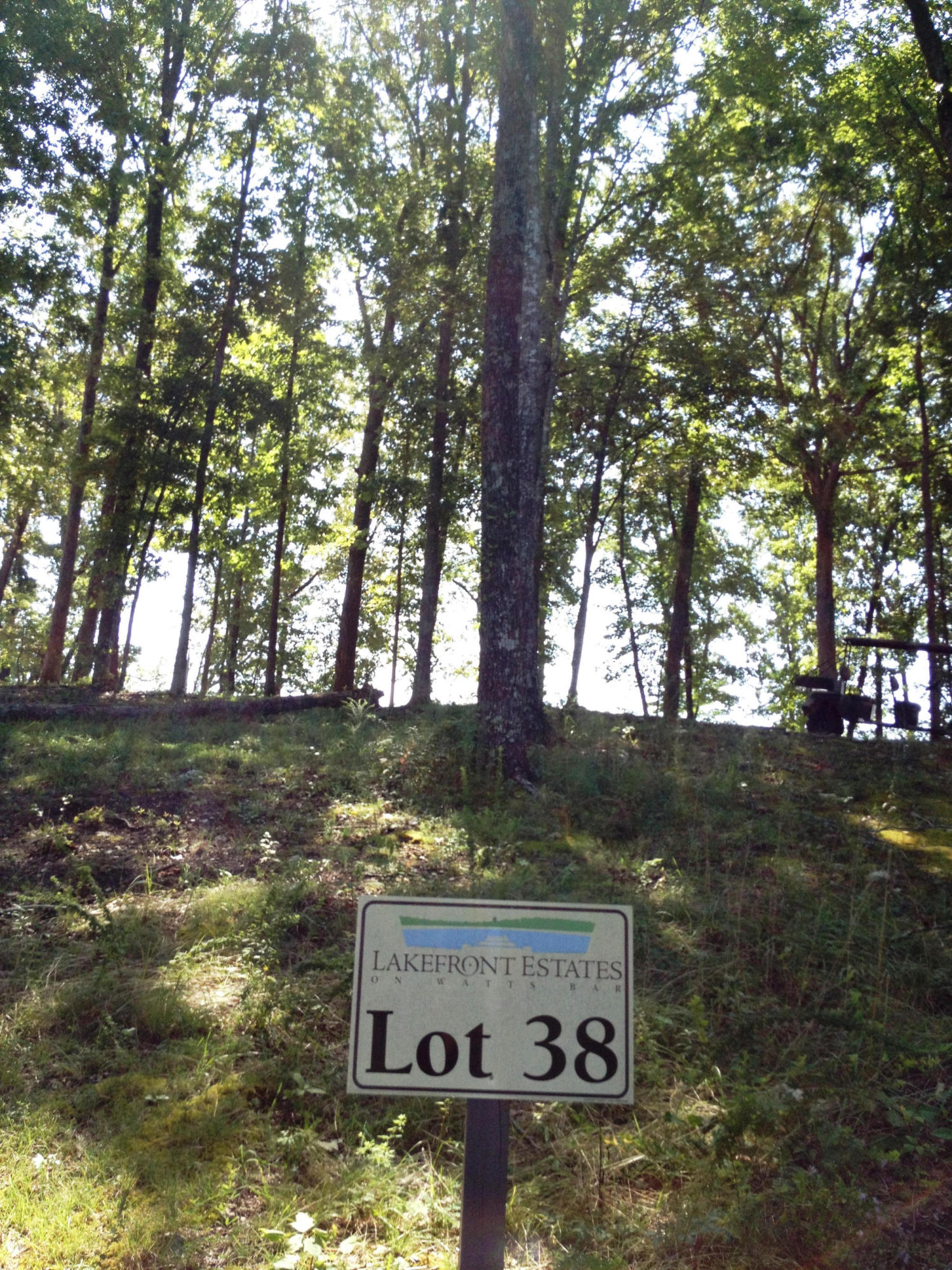 591 Waterfront Way, Unit LOT 38 Spring City, TN 37381 - Photo 7 of 22 IMG_2108