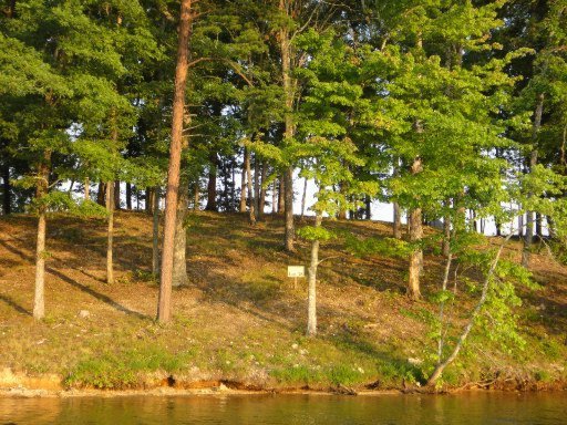 591 Waterfront Way, Unit LOT 38 Spring City, TN 37381 - Photo 8 of 22 Additional Photo