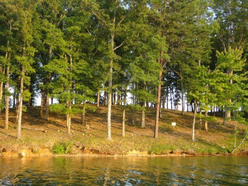 591 Waterfront Way, Unit LOT 38 Spring City, TN 37381 - Photo 9 of 22 Additional Photo