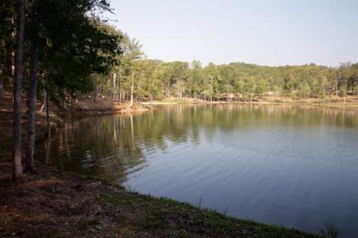 591 Waterfront Way, Unit LOT 38 Spring City, TN 37381 - Photo 10 of 22 Additional Photo