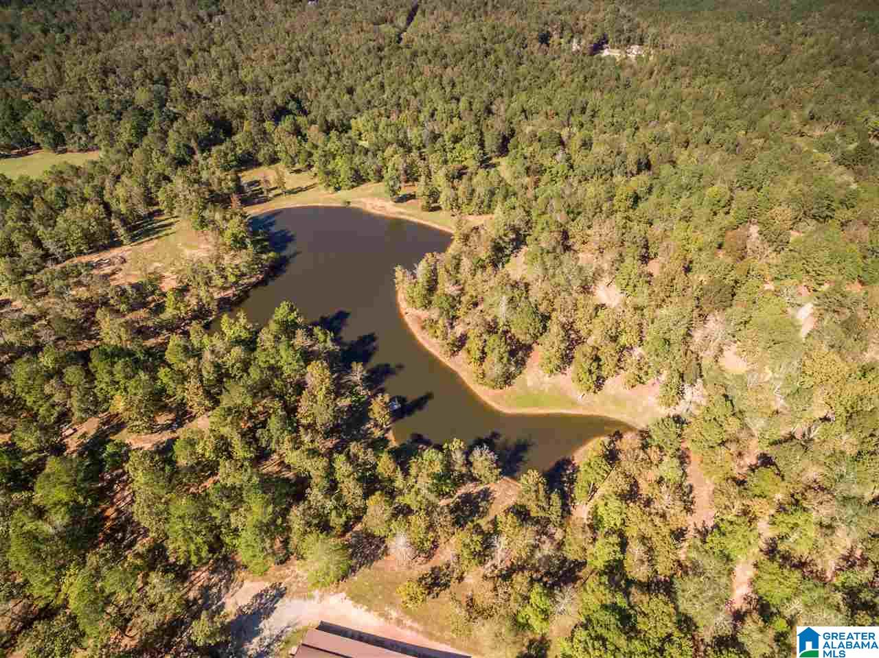 2644 Highway 42 Calera, AL 35040 - Photo 9 of 48
