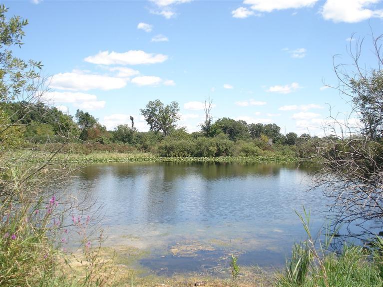 Peterson Road Osseo, MI 49266 - Photo 1 of 8 Primary Photo