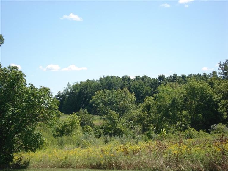 Peterson Road Osseo, MI 49266 - Photo 2 of 8 Additional Photo