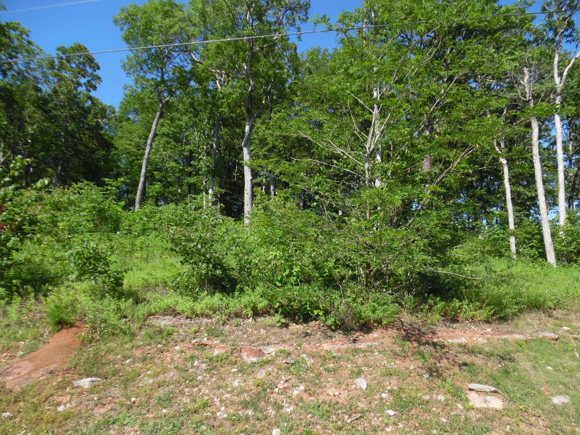 83-85 Adam Loop Bath Springs, TN 38311 - Photo 2 of 9