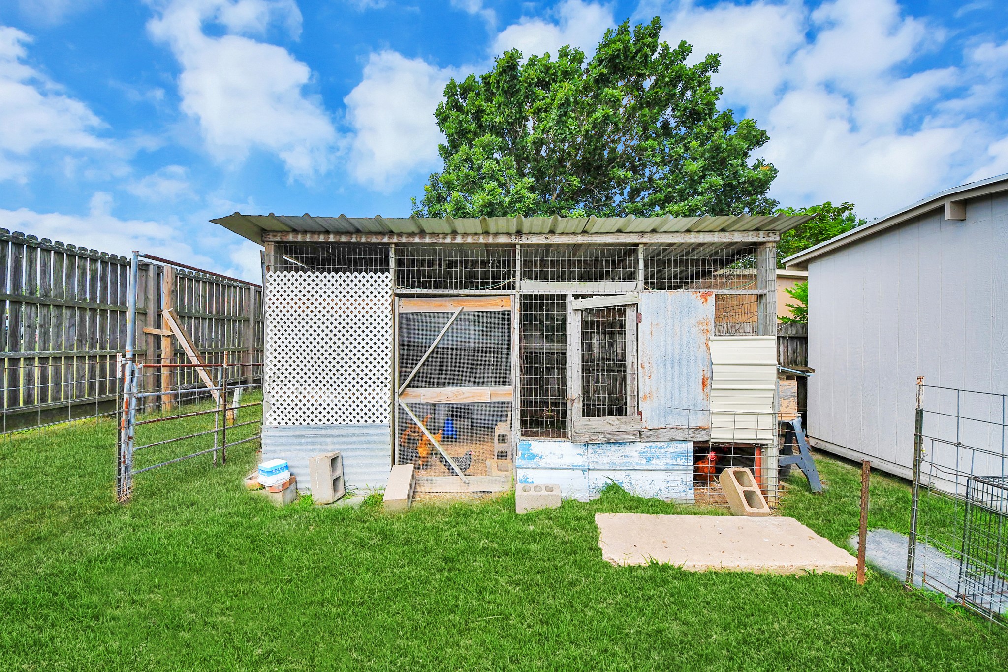 131 Kiowa Court Rosharon, TX 77583 - Photo 41 of 42 This photo features a fenced backyard with a small shed or animal enclosure on a grassy lawn. The area is bordered by a wooden fence and is adjacent to a neighboring structure, offering potential for outdoor use or storage.