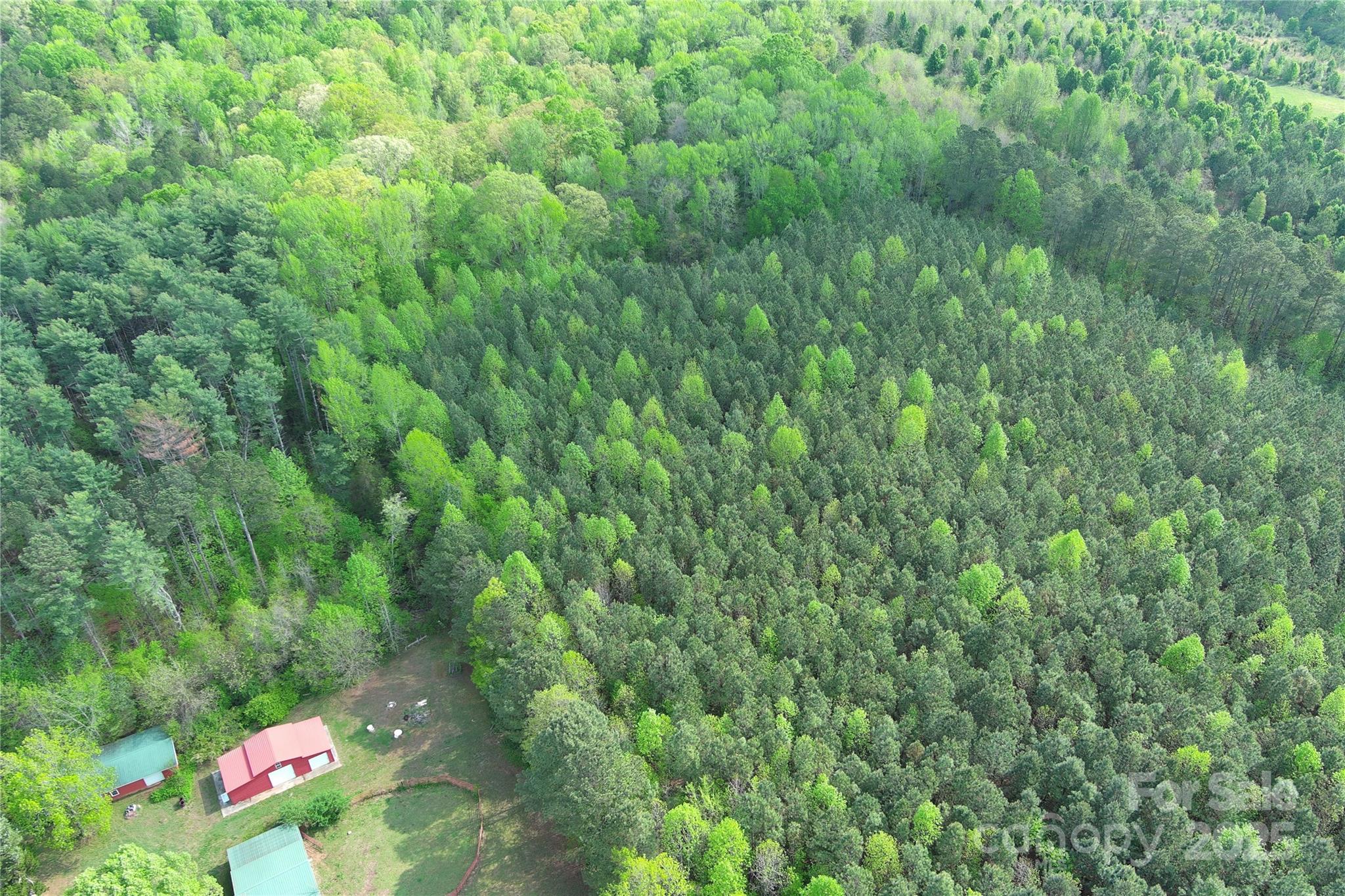 0 Mt Hope Church Road Salisbury, NC 28146 - Photo 11 of 15