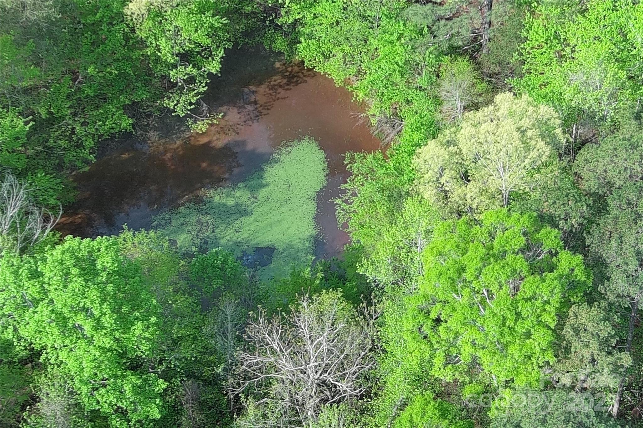 0 Mt Hope Church Road Salisbury, NC 28146 - Photo 12 of 15 a view of a yard