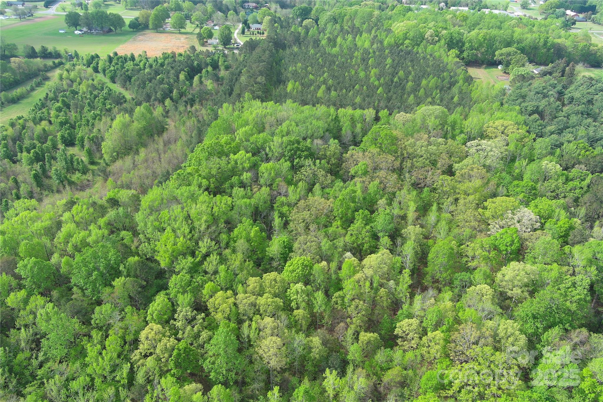 0 Mt Hope Church Road Salisbury, NC 28146 - Photo 13 of 15 a view of a lush green forest