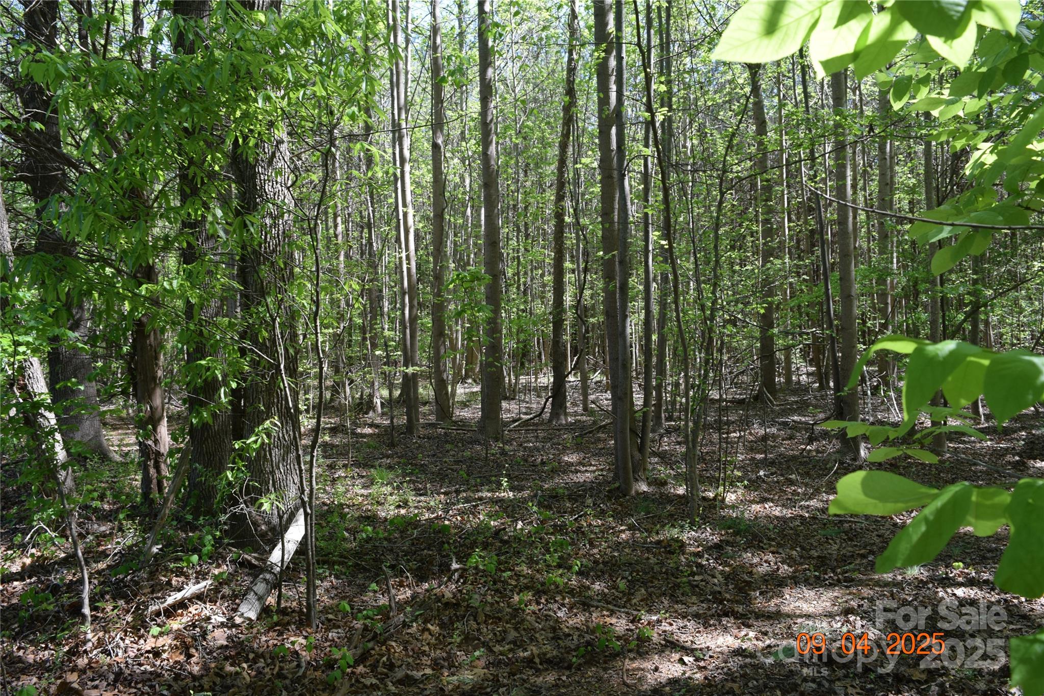0 Mt Hope Church Road Salisbury, NC 28146 - Photo 2 of 15 a view of outdoor space and trees