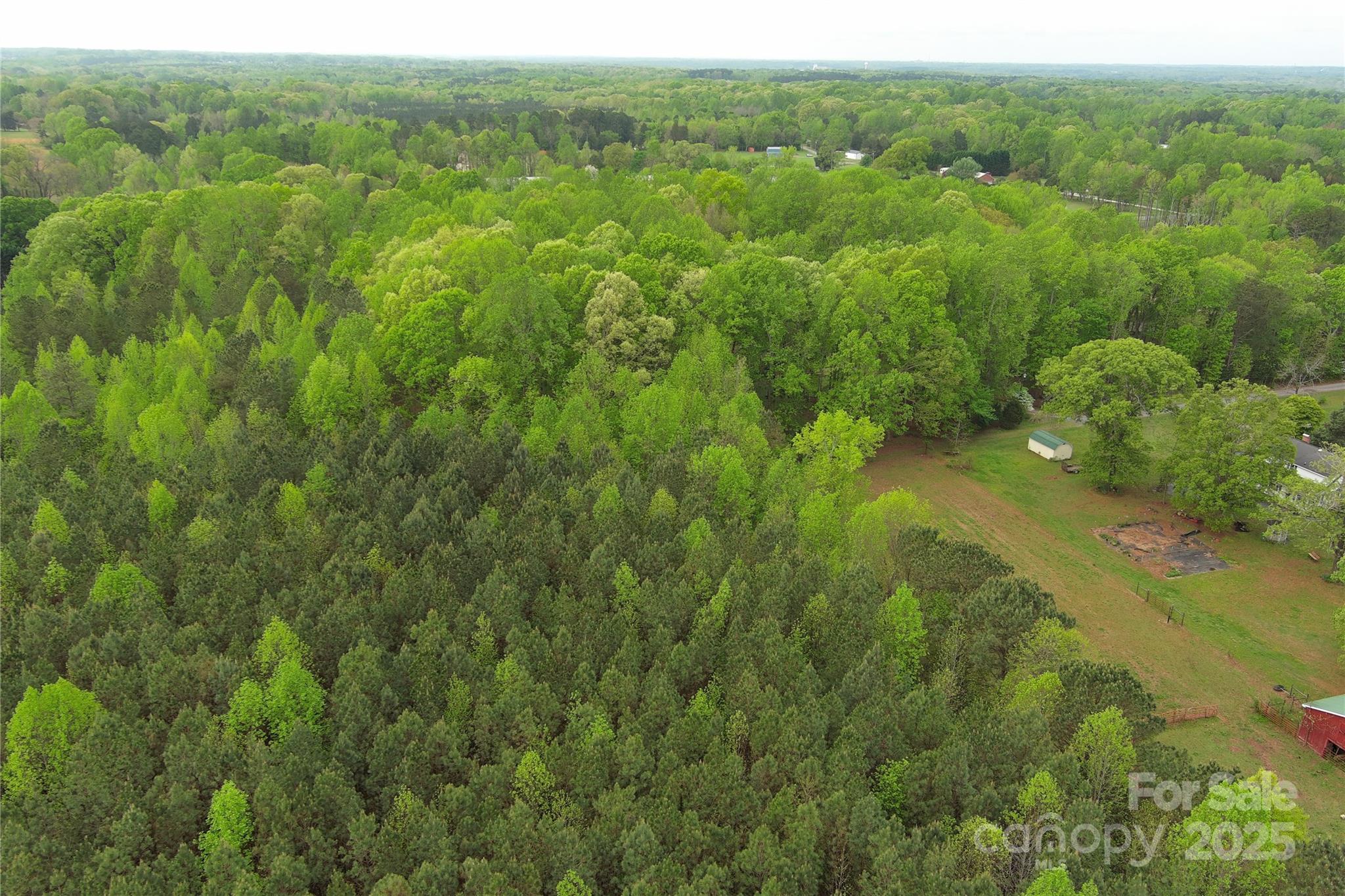 0 Mt Hope Church Road Salisbury, NC 28146 - Photo 4 of 15 a view of a lush green forest with trees and some houses