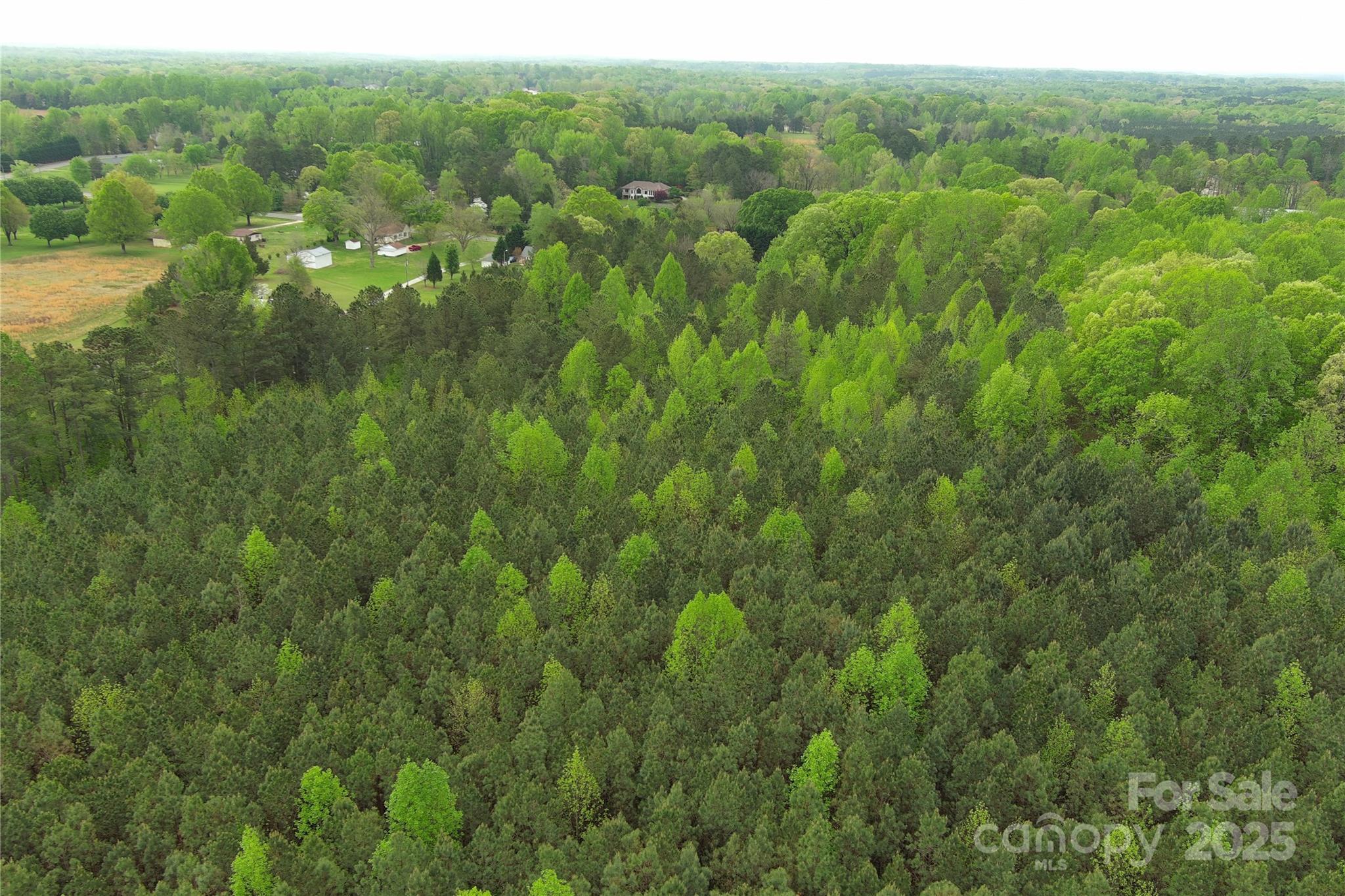 0 Mt Hope Church Road Salisbury, NC 28146 - Photo 5 of 15 a view of a green field with lots of trees