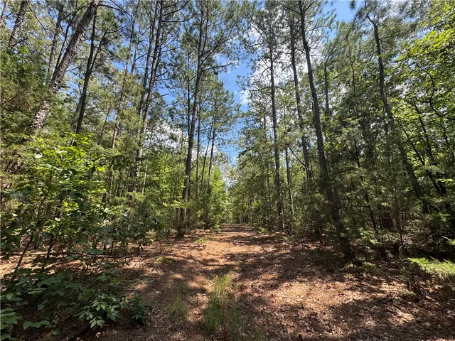 $500,000 | 1324 Highway 81, Calhoun Falls, SC 29628