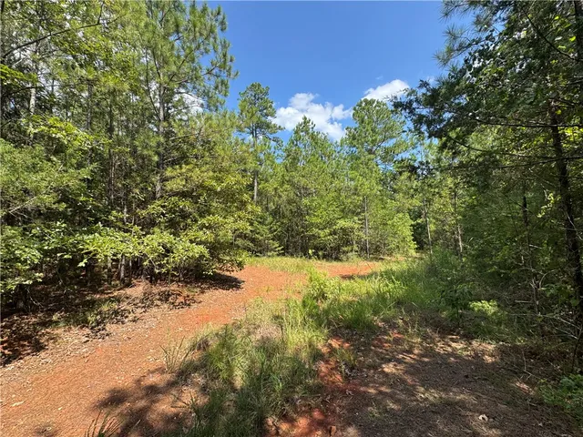 $500,000 | 1324 Highway 81, Calhoun Falls, SC 29628