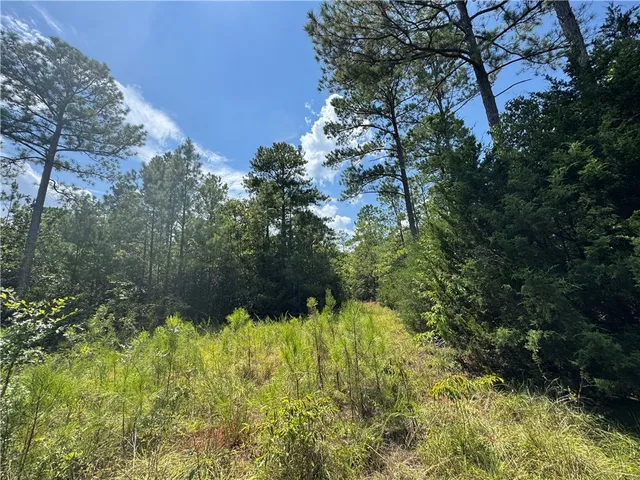 $500,000 | 1324 Highway 81, Calhoun Falls, SC 29628